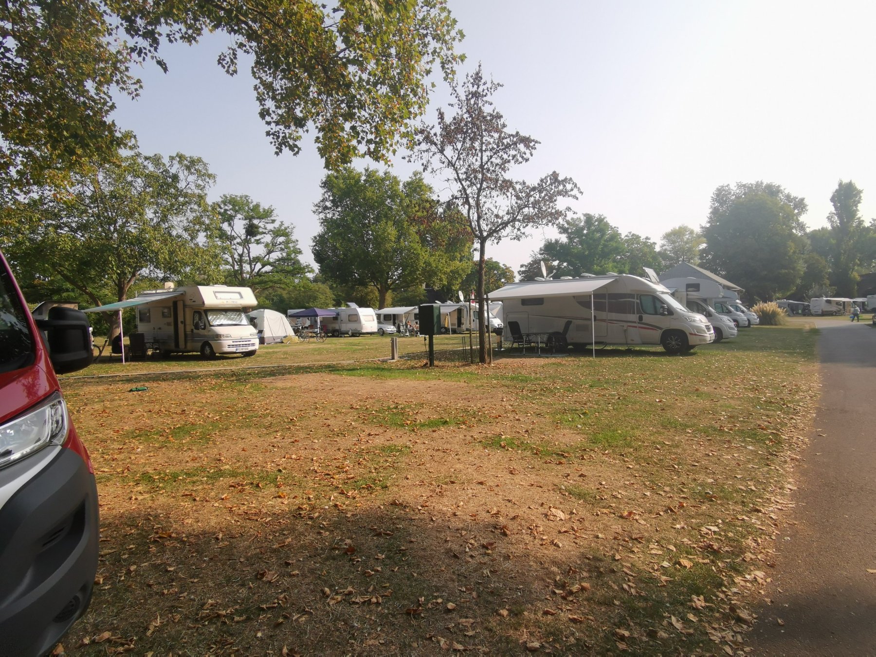 Campingplatz am Rhein — Photo 5