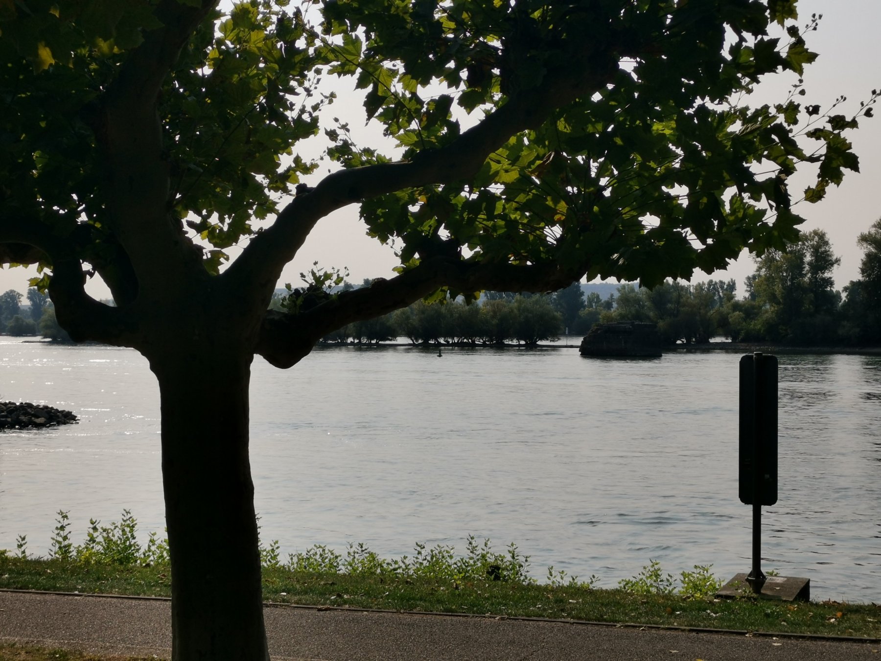 Campingplatz am Rhein — Photo 6