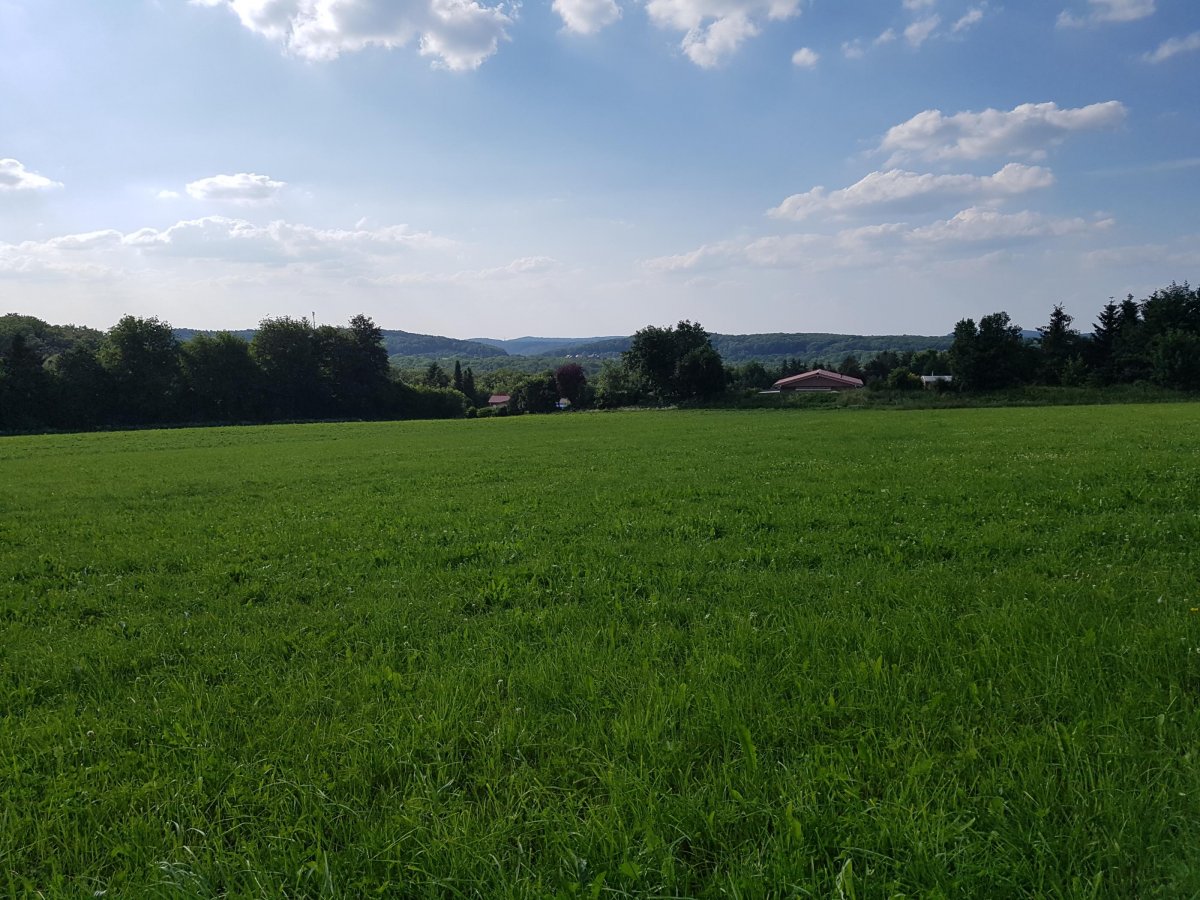 Camping Waldpark Hohenstadt