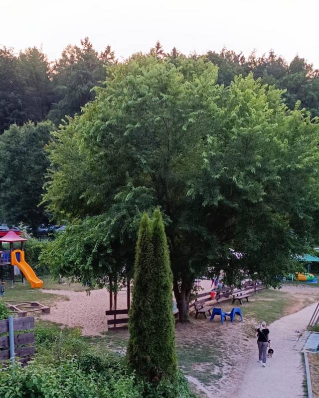 Odenwaldidyll — Photo 4