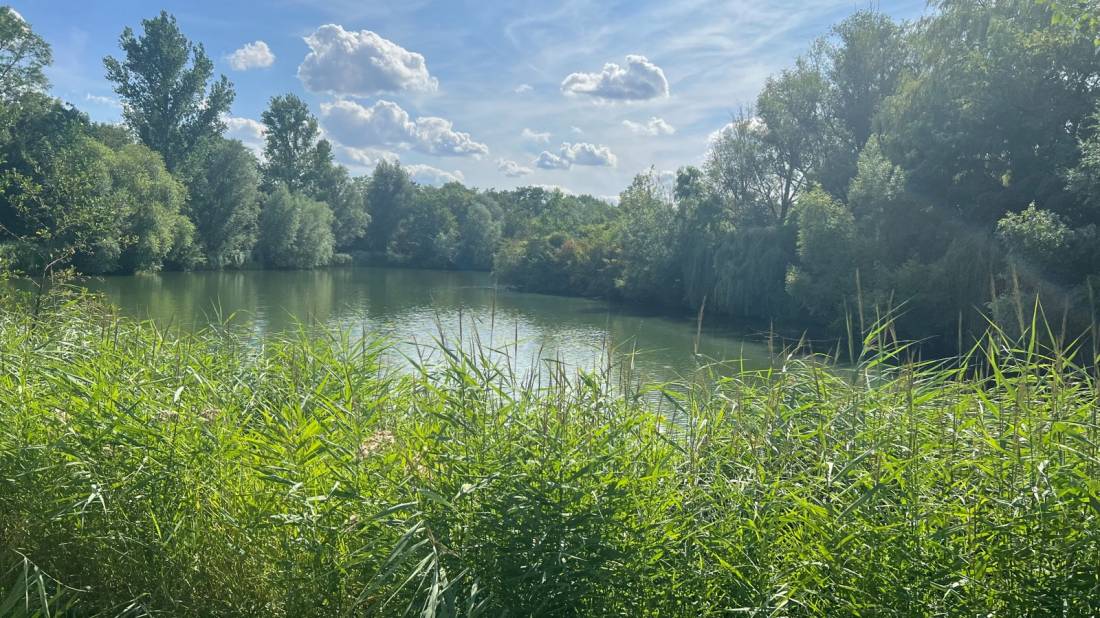 Sperrfechter Freizeitpark — Photo 2