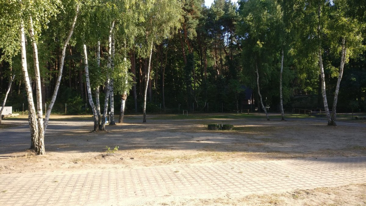 Camping Am Sandfeld — Photo 2