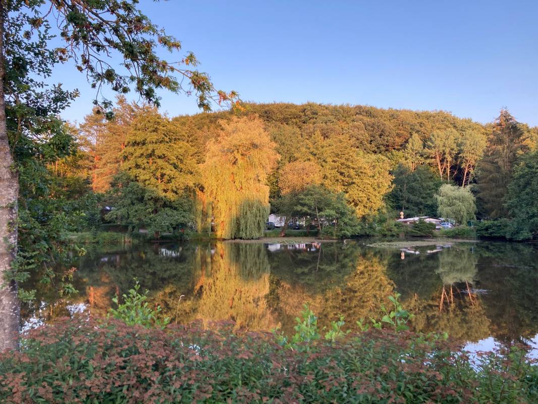 Naturresort Waldglück — Photo 5