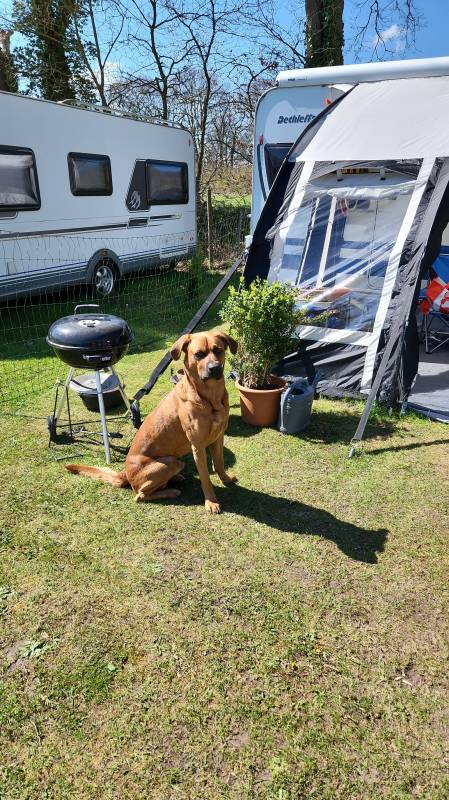 Friesland Camping