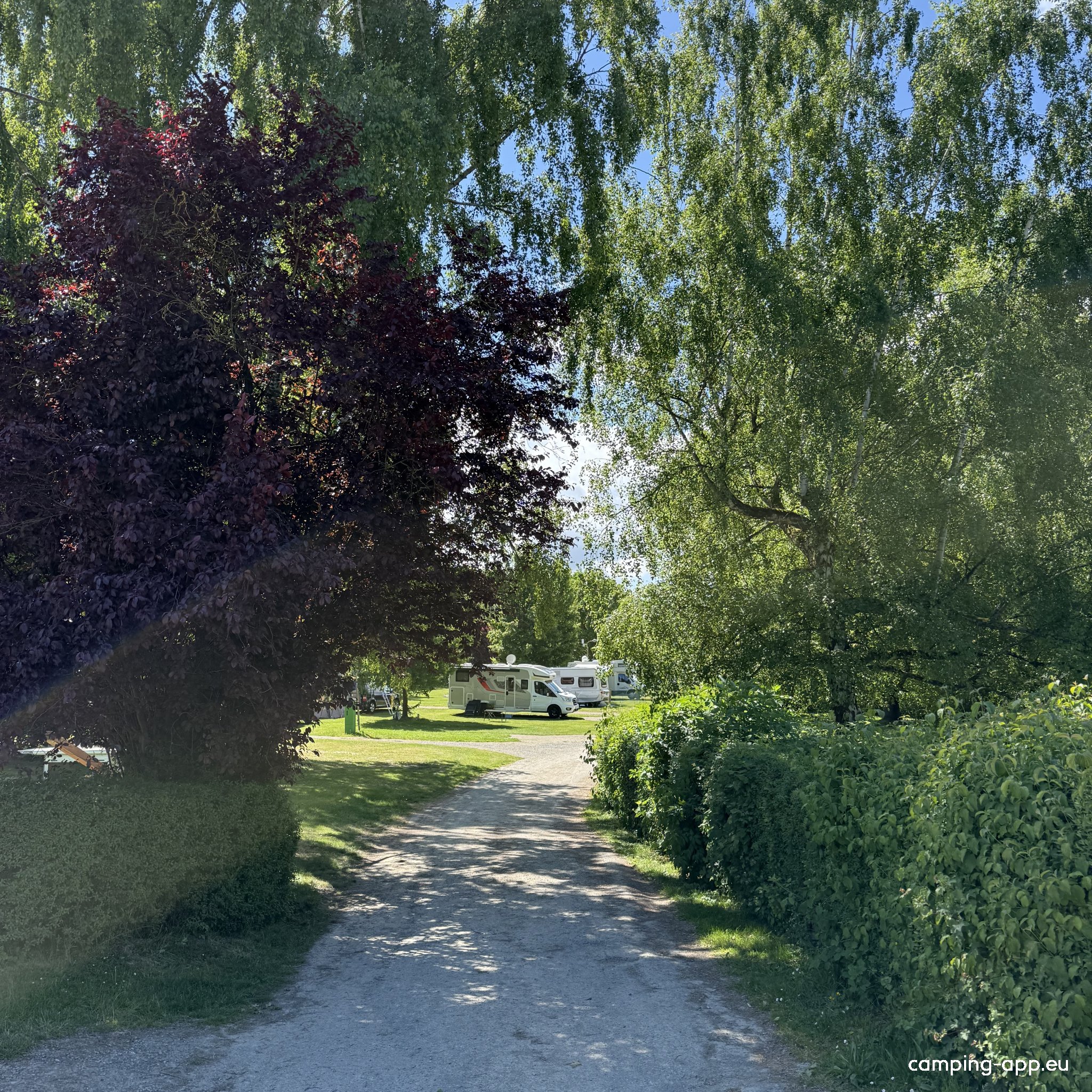 Camping am Waldbad — Photo 2