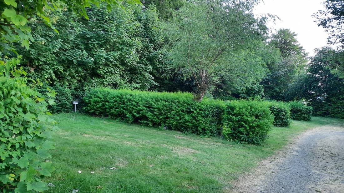 Campingpark Waldwiesen