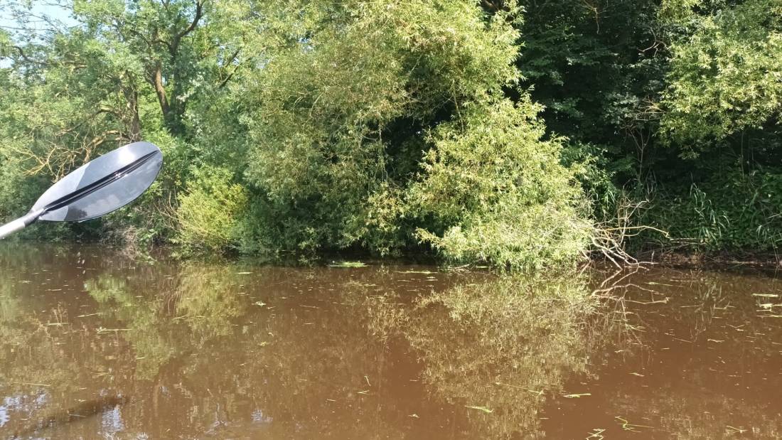 At the Jade Inh. Silke Detmers — Photo 2