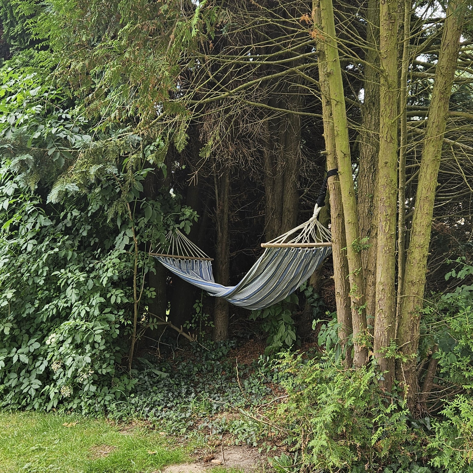 Campingplatz Altenburschla — Photo 5