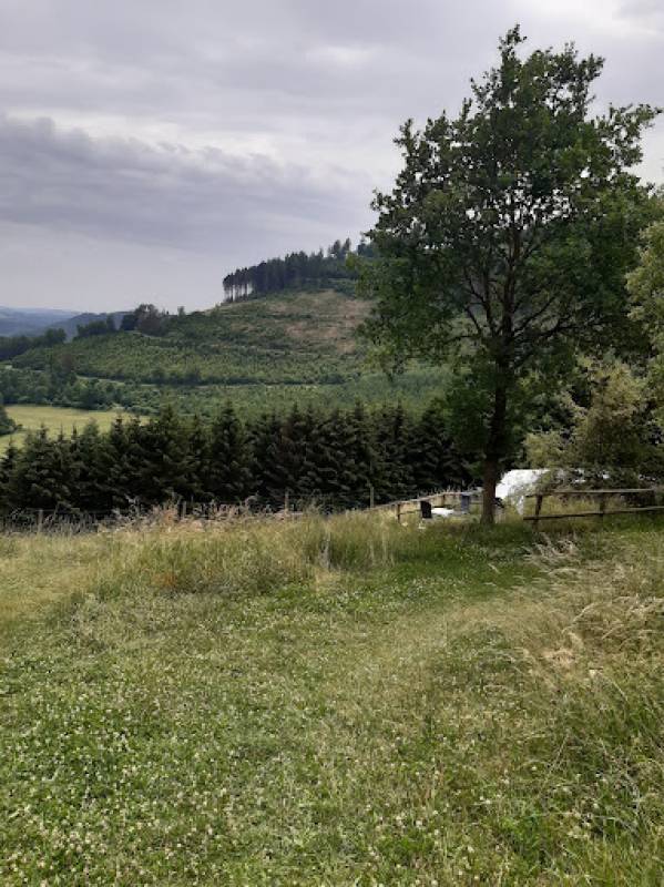 Campsite Am Einberg — Photo 2