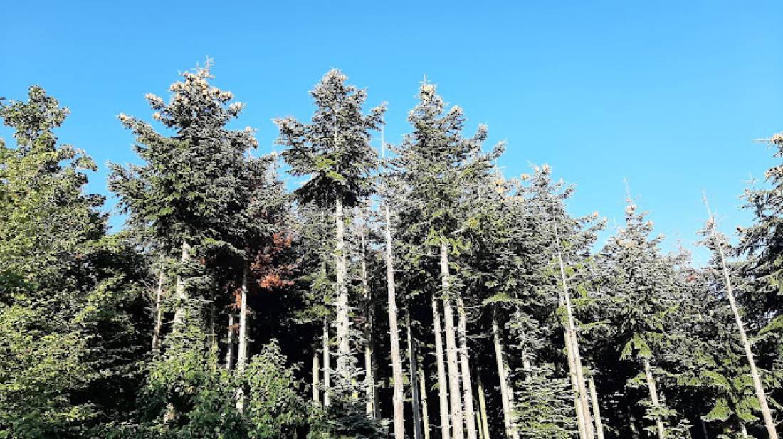 Campsite Am Einberg — Photo 3