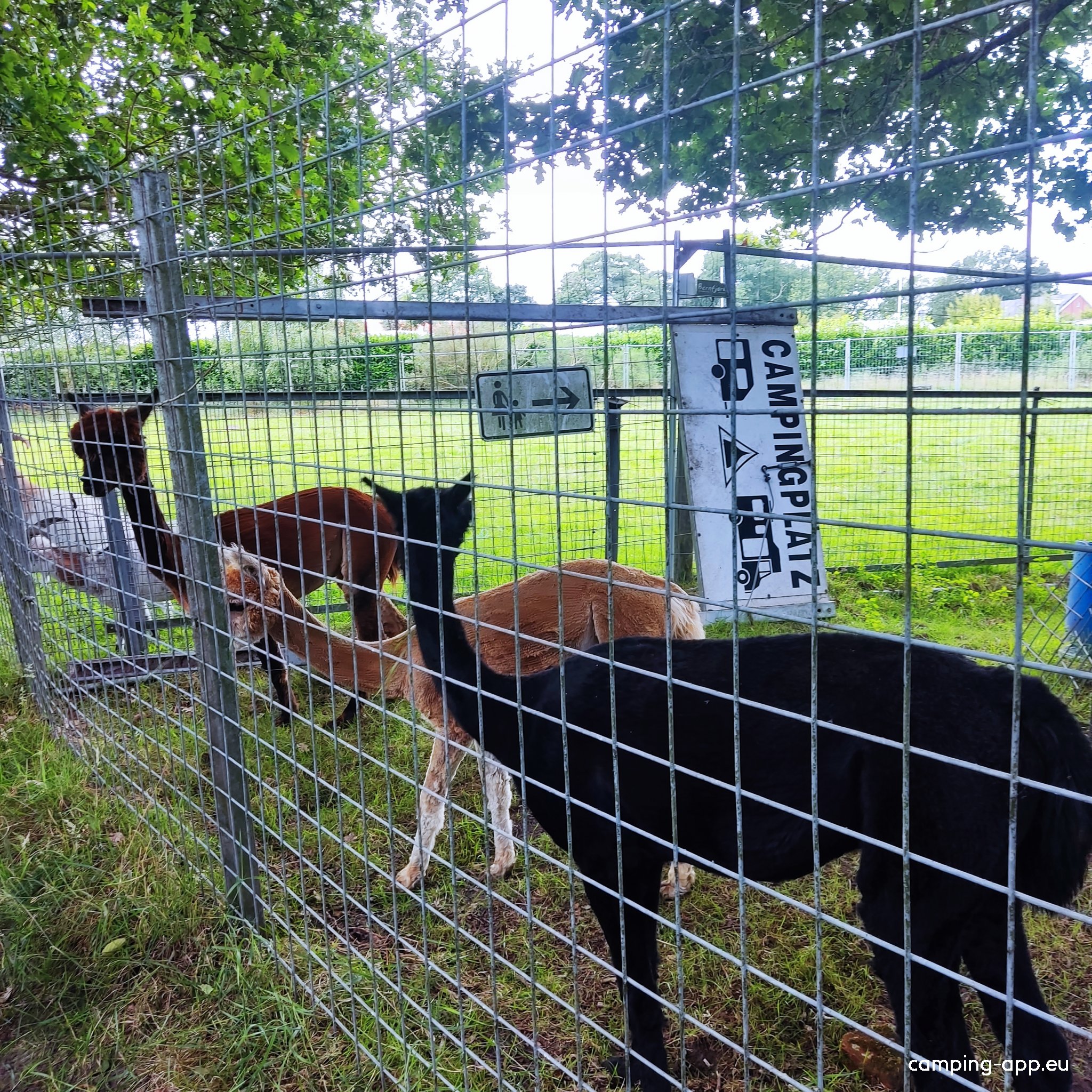 Campingplatz Neuengland — Photo 6