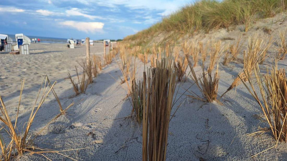 Camping  „Am Freesenbruch“ — Photo 5