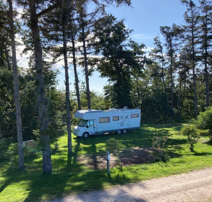 Camping am Deich **** — Photo 6