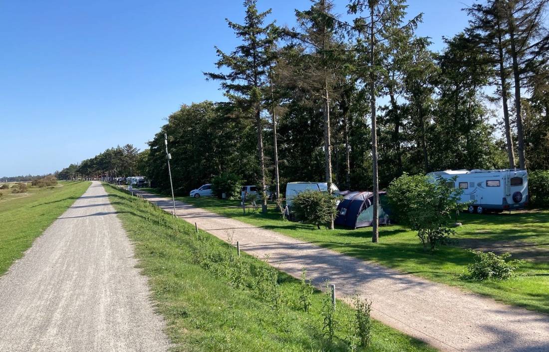 Camping am Deich **** — Photo 5