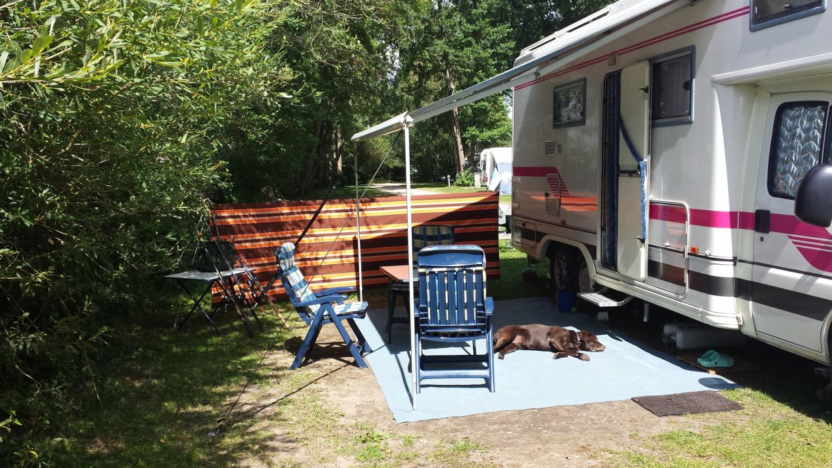 Wald- und Seeblick Camp — Photo 3