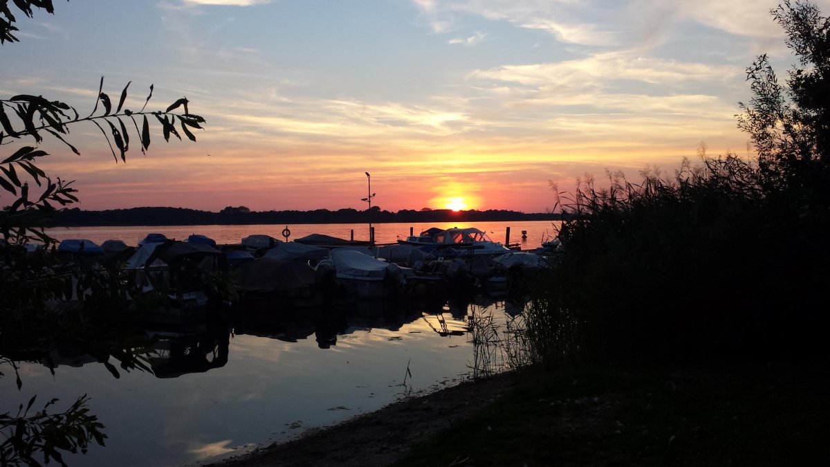 Wald- und Seeblick Camp — Photo 4