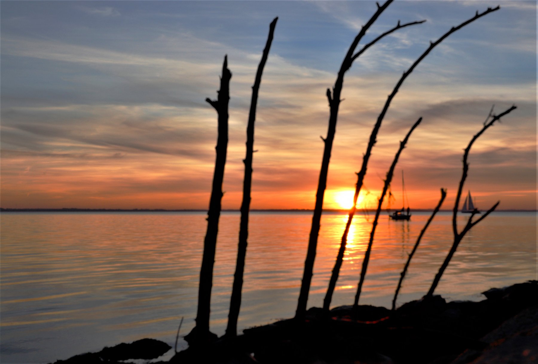Campingplatz Leuchtturm — Photo 2