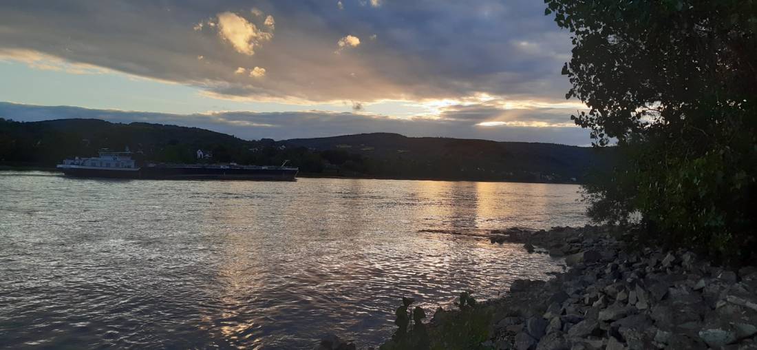 Green Camping am Rhein — Photo 4