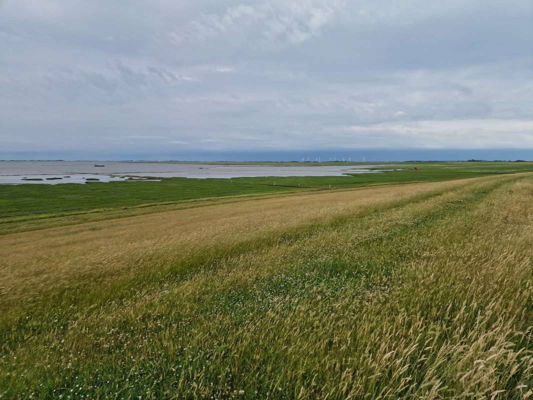 Camping SPO — Photo 3