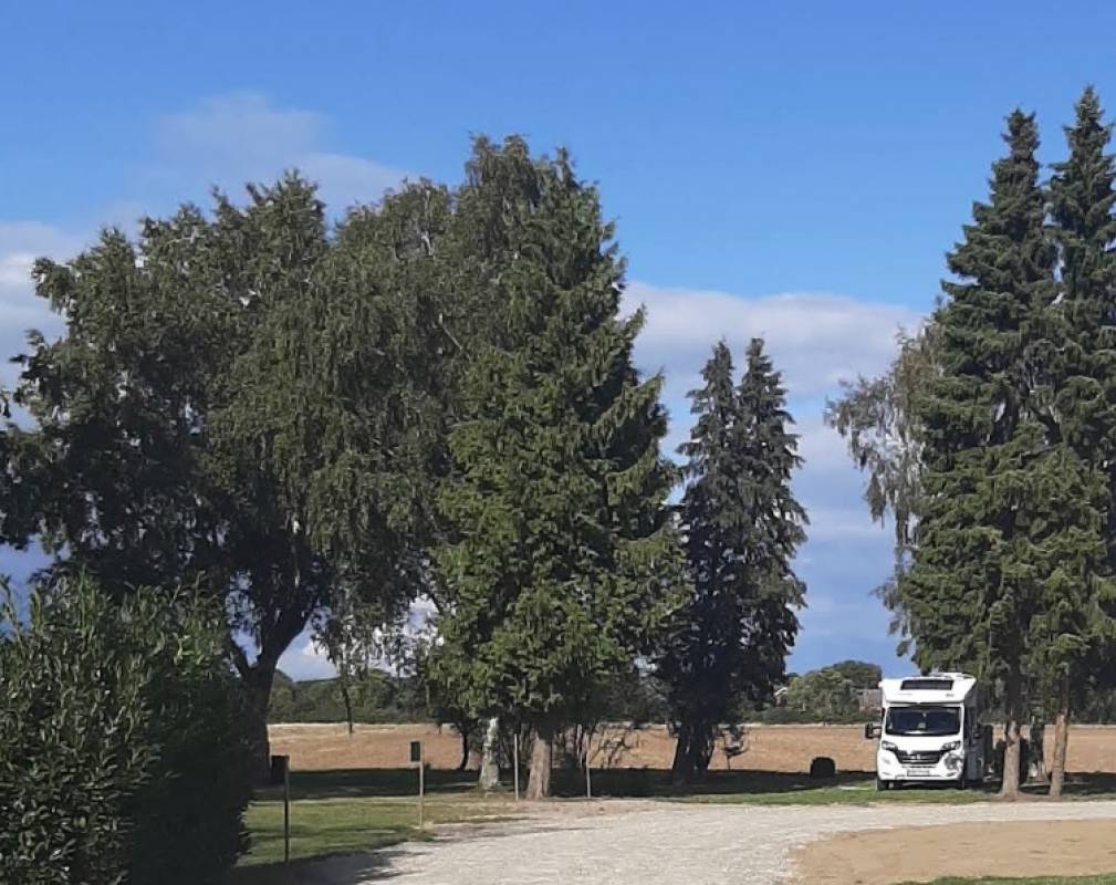 Naturresort Weserinsel — Campsite in Langwedel