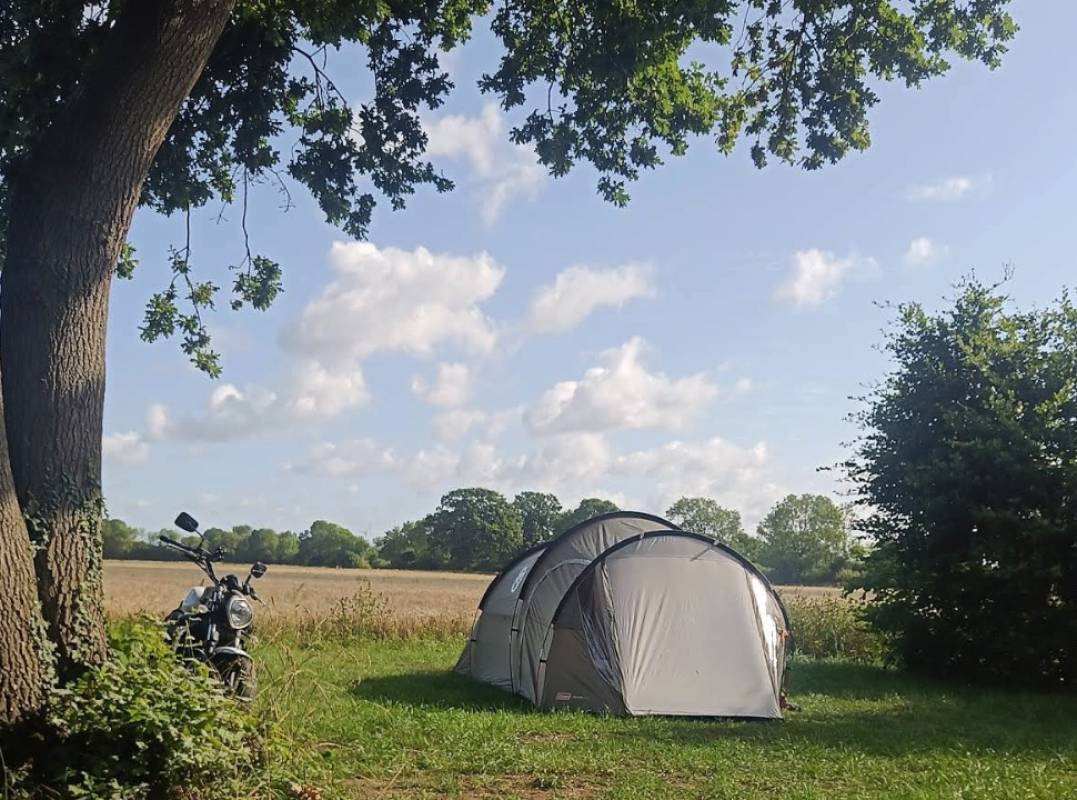 Naturresort Weserinsel — Photo 2