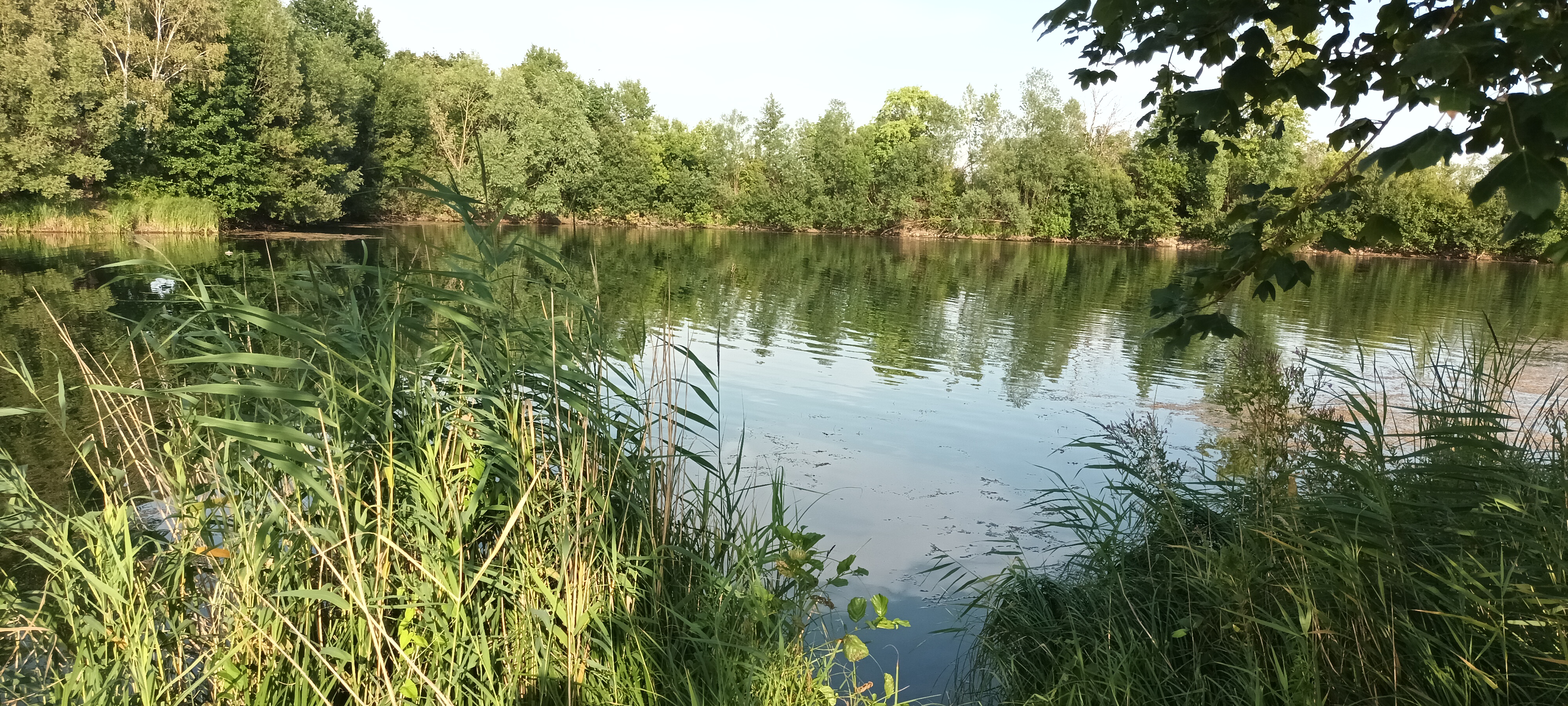 Camping Arnumer See — Photo 3