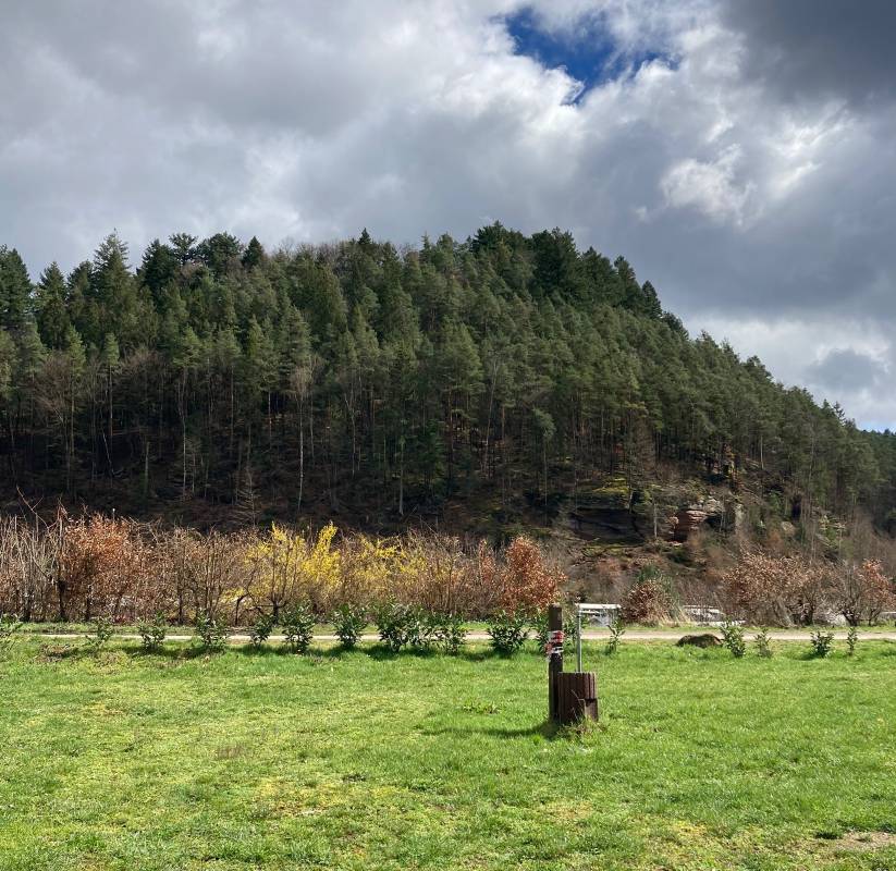 Campingplatz Moosbachtal