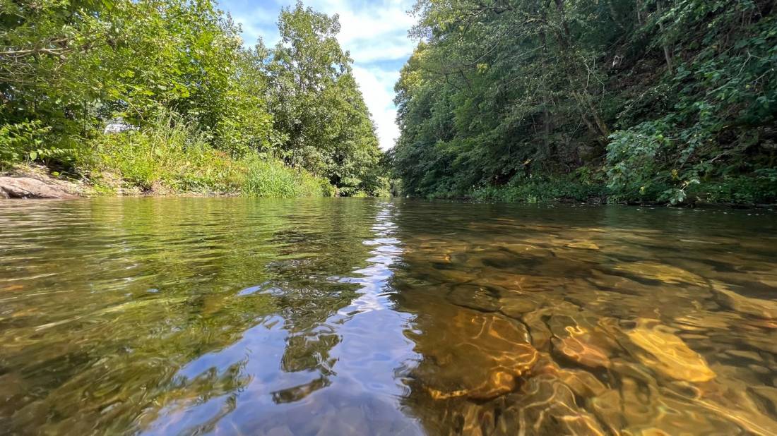 Campingplatz Auenland — Photo 5