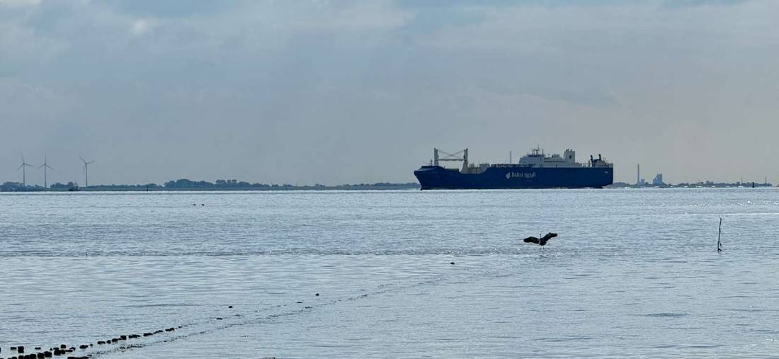 Camping Wremer Tief am Nordseestrand — Photo 2