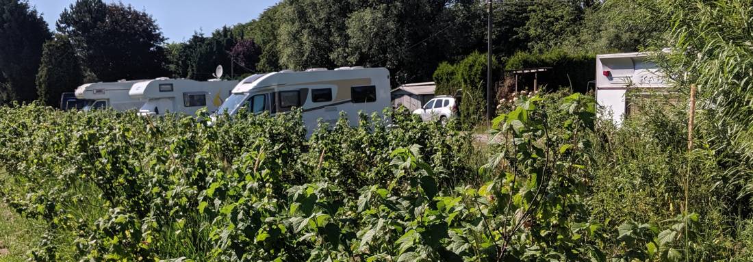 Campingplatz Neßhof — Campsite in Guderhandviertel 