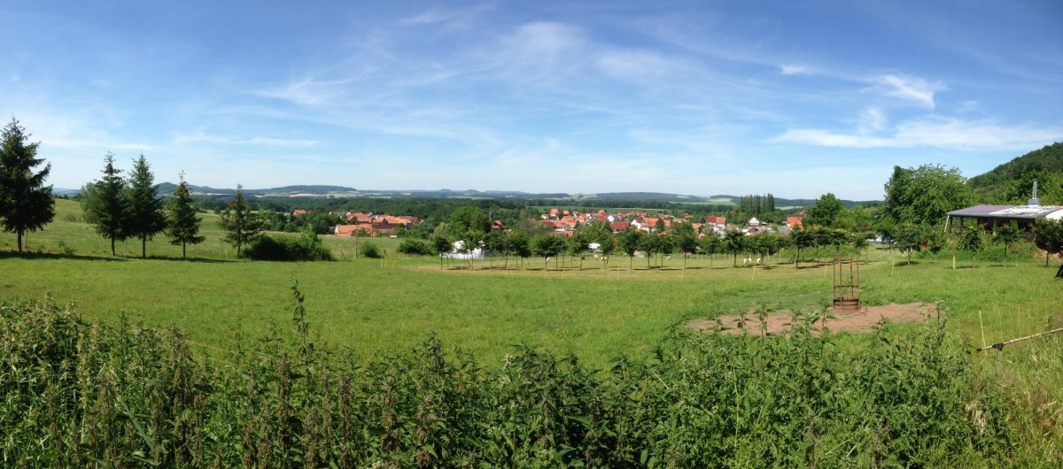 Bergwiese Thüringen — Photo 2