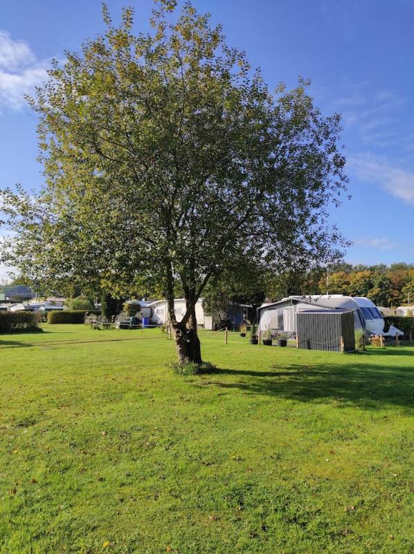 Campingplatz Sonnenkamp — Photo 3