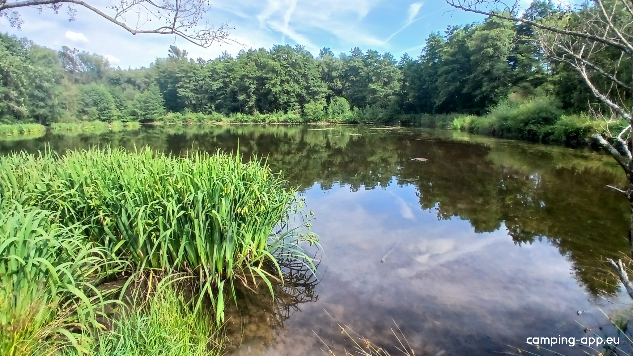 Campingplatz am Nidda-Stausee — Photo 5