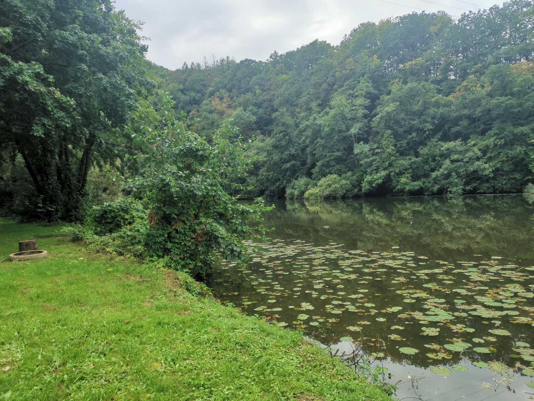 KNAUS Campingpark Schloss Langenau — Photo 3