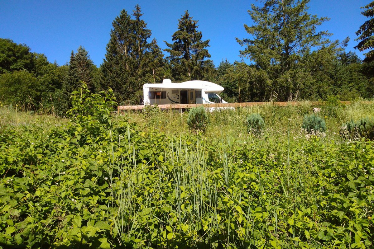 Waldcamp Meerbornsheide