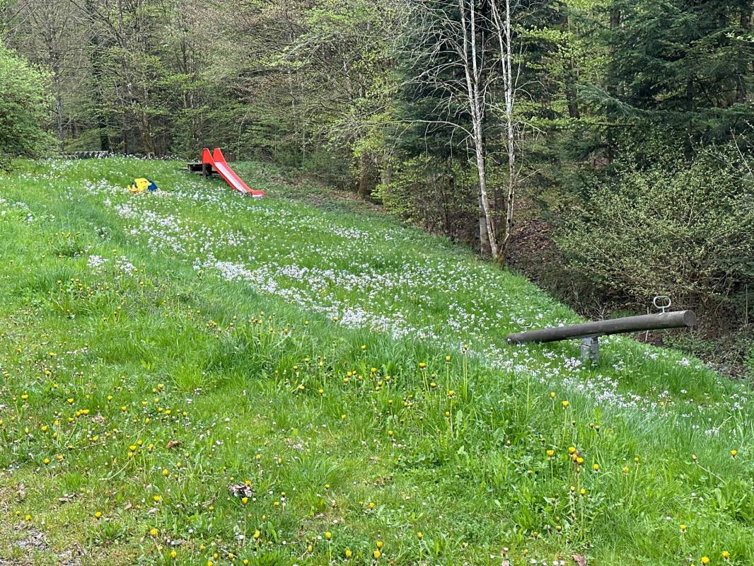 Campingplatz Waldsee — Photo 4