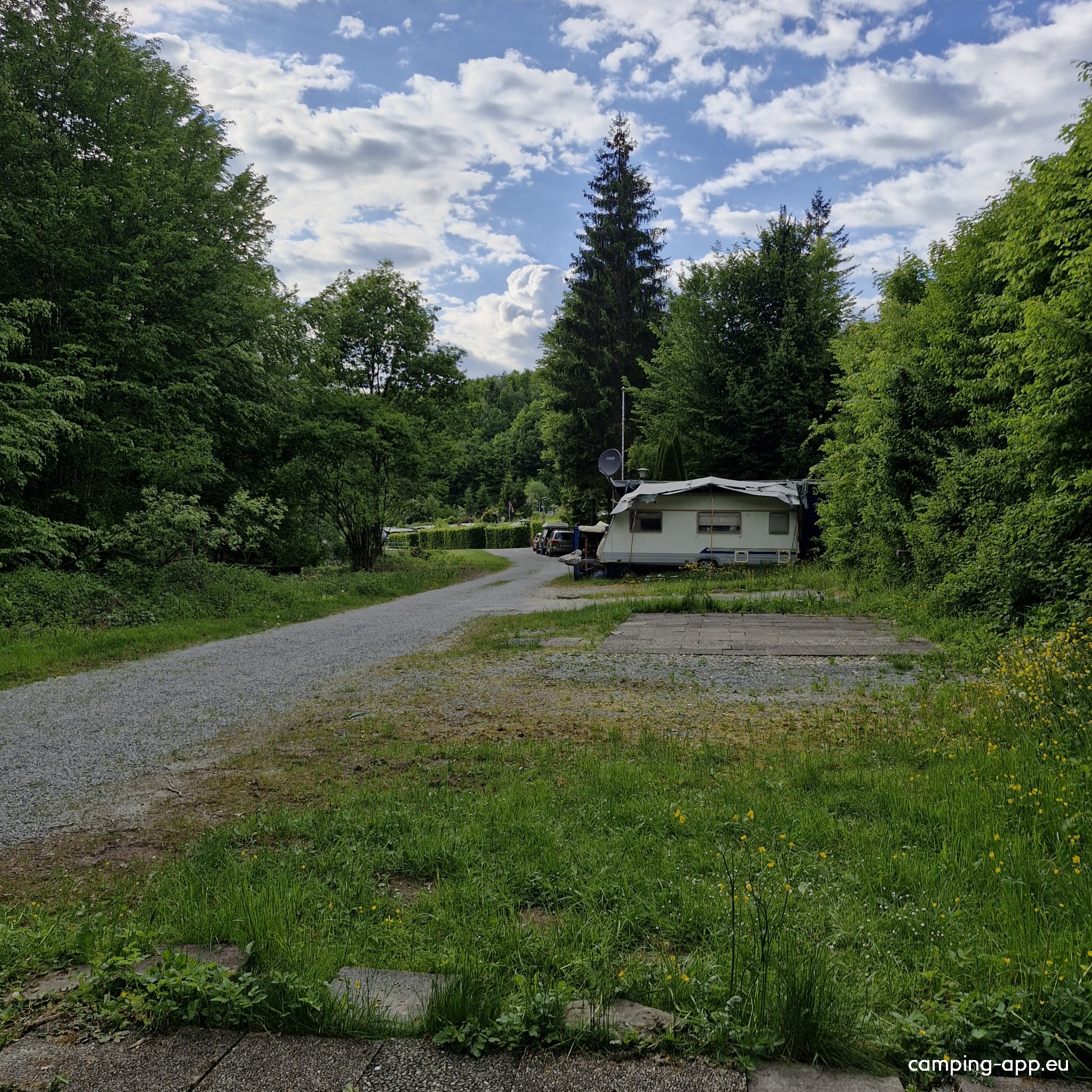 Campingplatz Waldsee