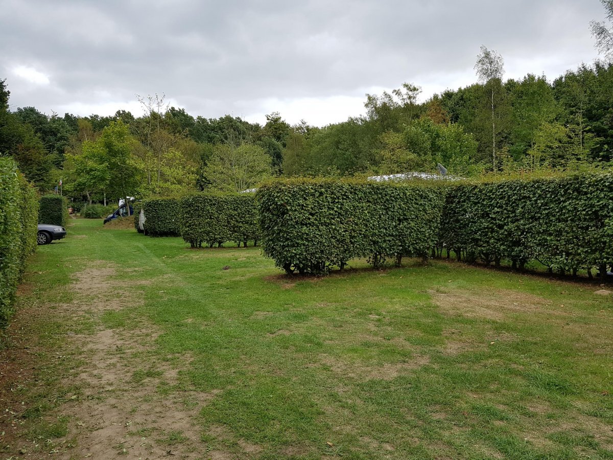 Campingplatz Falckenstein — Photo 3