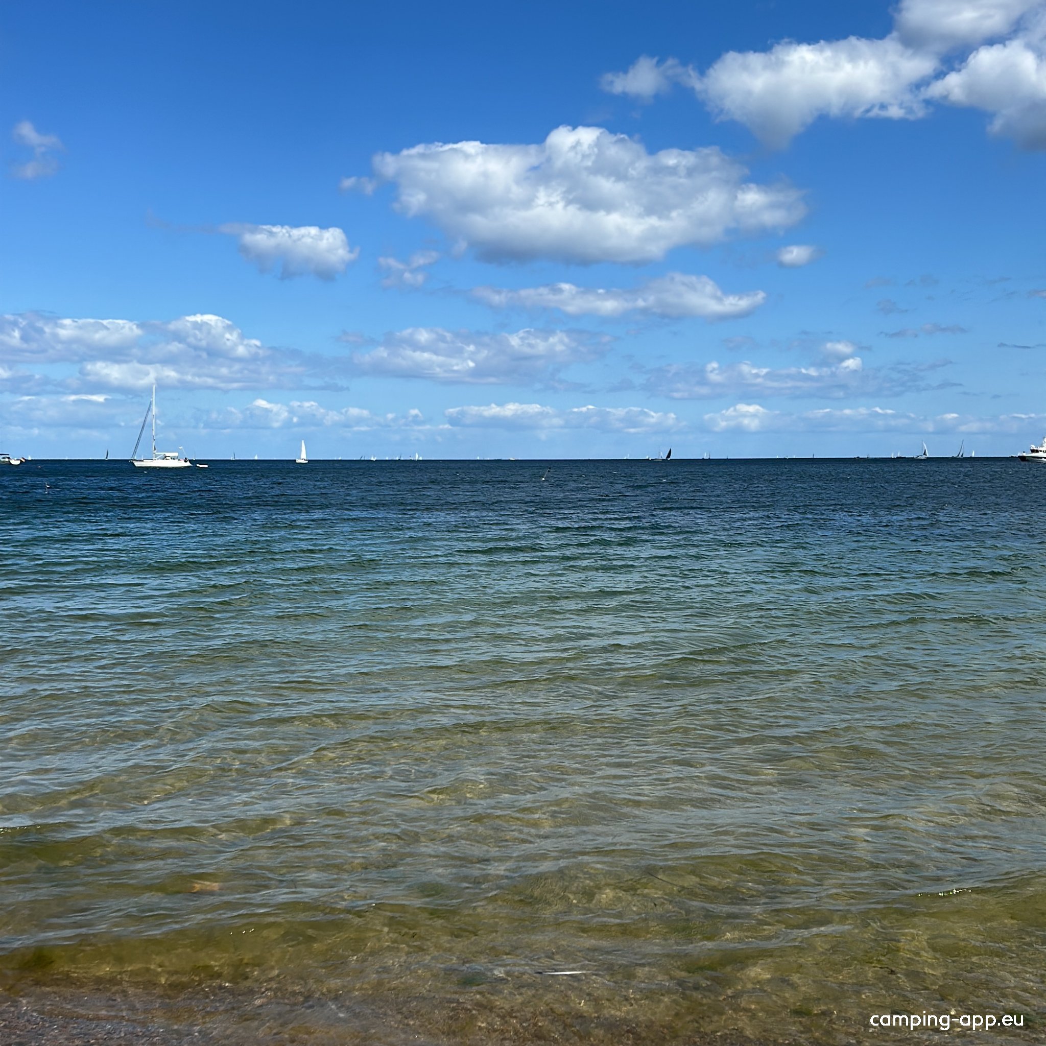 Campingplatz Falckenstein — Photo 6