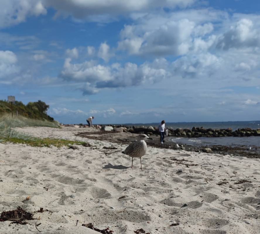 Campingplatz Lotsenhaus — Photo 2