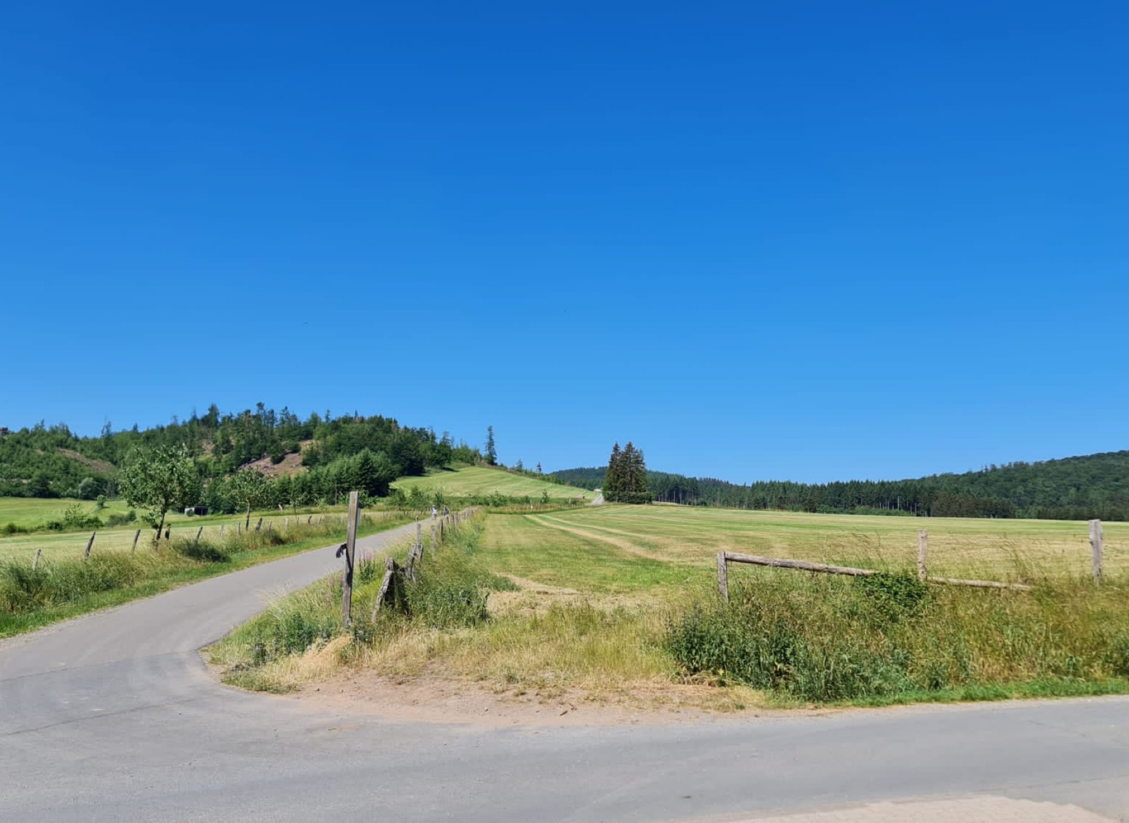 Campsite Zur Hasenkammer — Photo 4