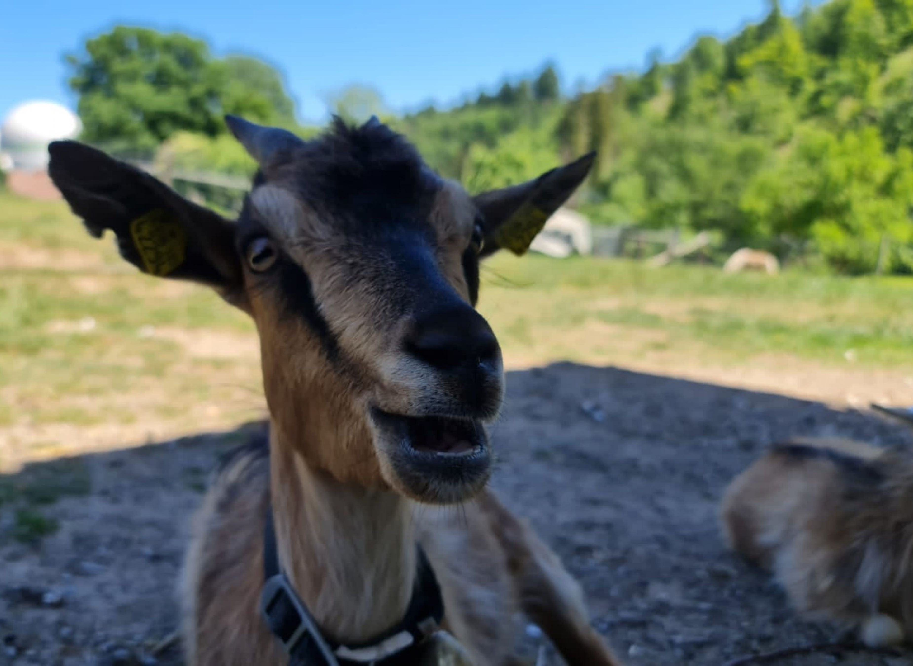 Campsite Zur Hasenkammer