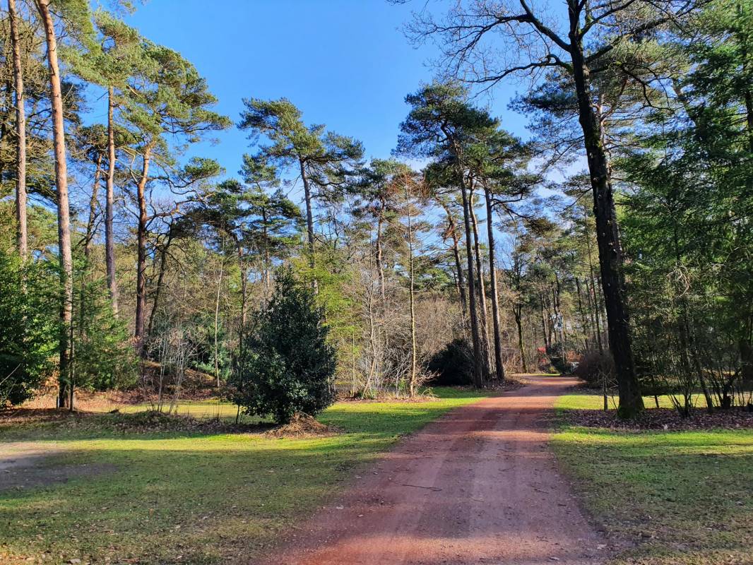 Camping Diever — Kamp alanı in Diever / Drenthe