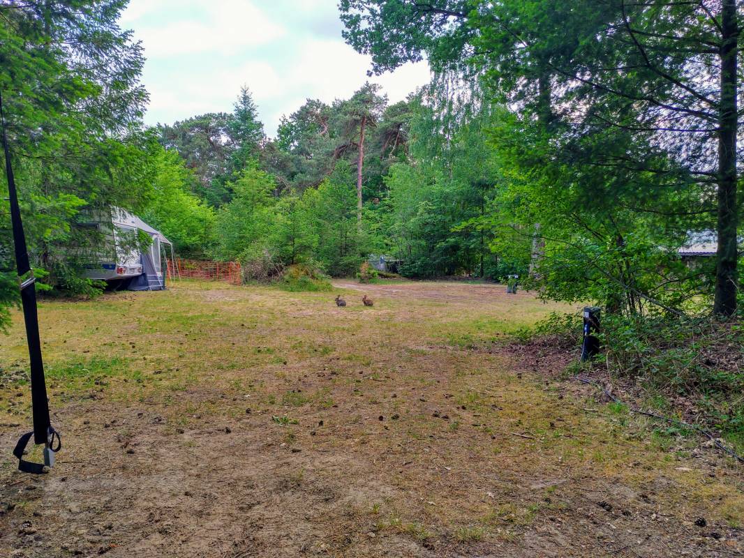 Camping Diever — Photo 2