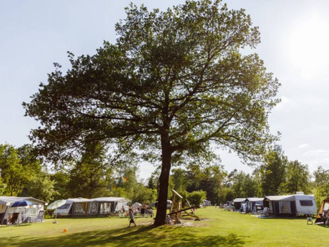 RCN de Noordster — Photo 3