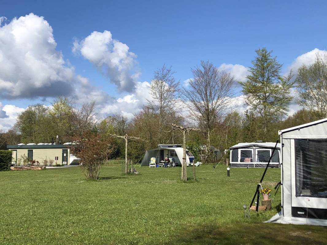 Camping de Haarsluis — Photo 2