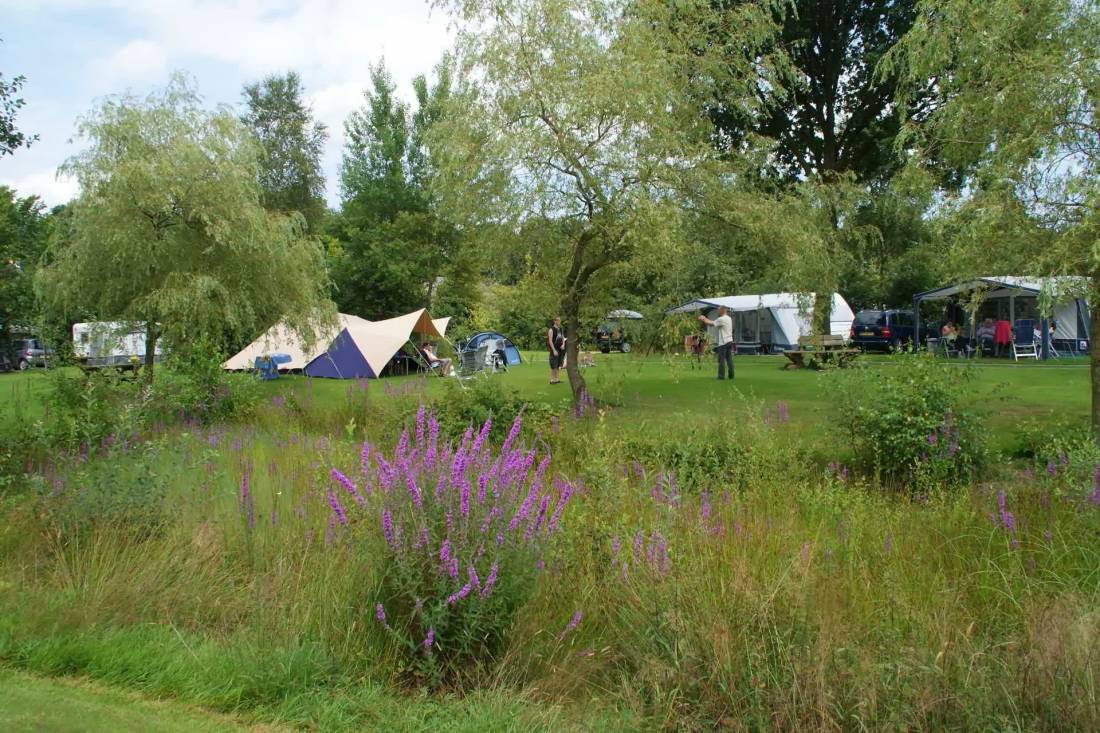 Landgoed Meistershof — Photo 2