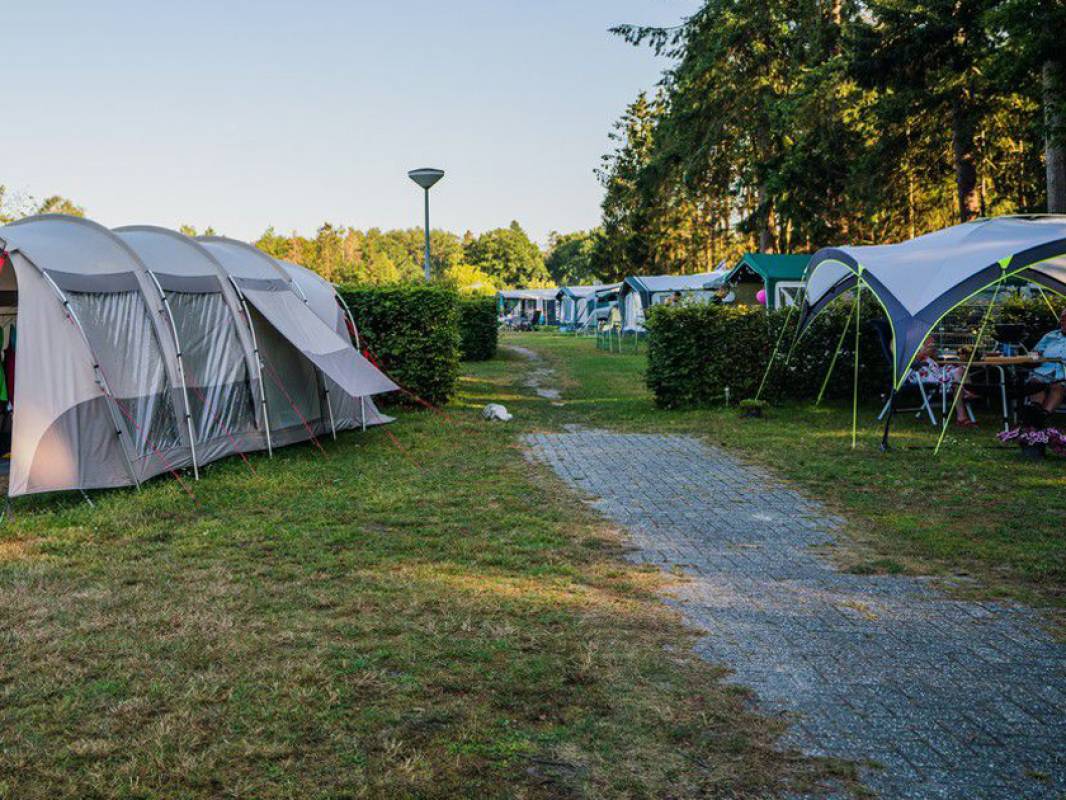 Camping de Hondsrug