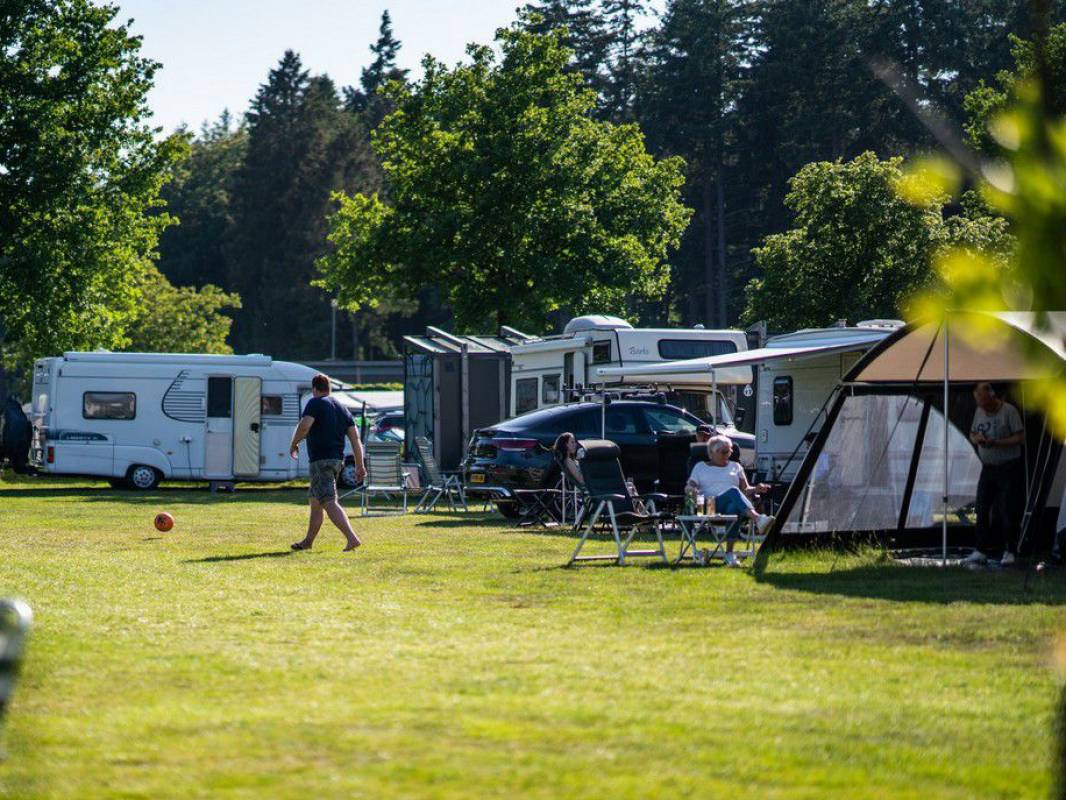 Camping de Hondsrug — Campsite in Eext