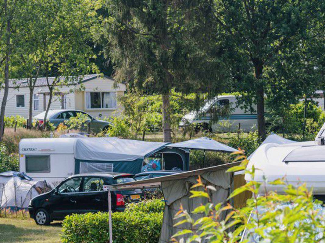 Camping de Hondsrug — Photo 3